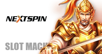 NS Slot logo