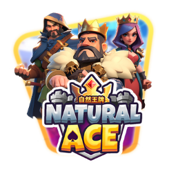 Natural Ace, Slots