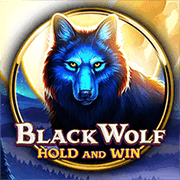 Black Wolf, Slots