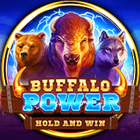 Buffalo Power, Slots