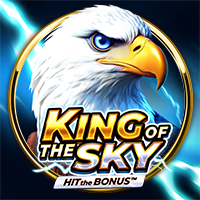King of the Sky: Hit the Bonus, Slots