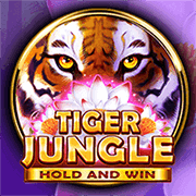Tiger Jungle, Slots