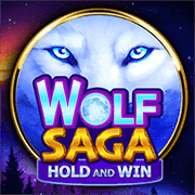 Wolf Saga, Slots