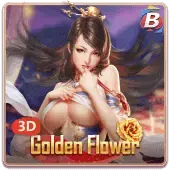 3D Golden Flower, Card Games