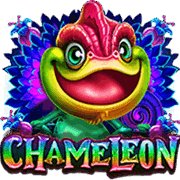 Chameleon, Slots