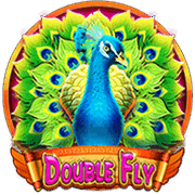 Double Fly, Slots
