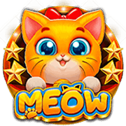 Meow, Slots