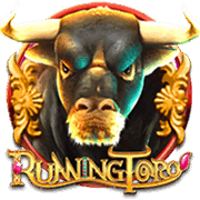 Running Toro, Slots