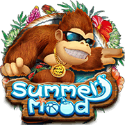 Summer Mood, Slots