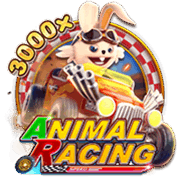 ANIMAL RACING, Slots