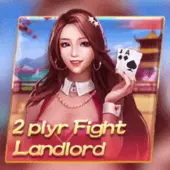 Fight the Landlord 2 Players, Card Games