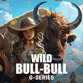 Bull-Bull Wild, Card Games