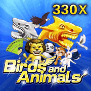 Birds and Animals, Slots