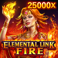 Elemental Link Fire, Slots