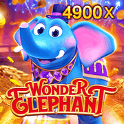 Wonder Elephant, Slots