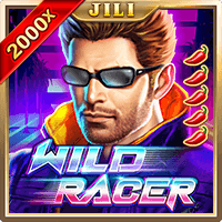 Wild Ace, Slots