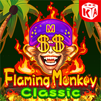 Flaming Monkey Classic, Slots