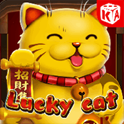 Lucky Cat, Slots