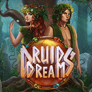 Druids' Dream, Slots