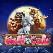 Wolf Cub, Slots