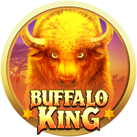 Buffalo King, Slots