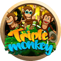 Triple Monkey, Next Spin