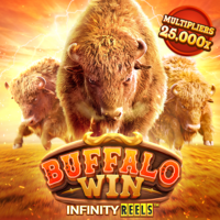 Buffalo Win, Slots