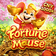 Fortune Mouse, Slots