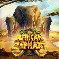 African Elephant, Slots