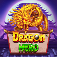 Dragon Hero, Slots