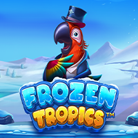 Frozen Tropics, Slots