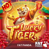 Lucky Tiger, Slots