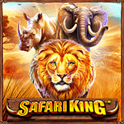 Safari King, Slots