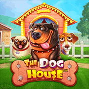 The Dog House, Slots