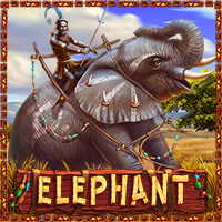 Elephant, Slots