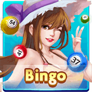 Bingo, Slots