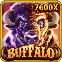 Buffalo, Slots