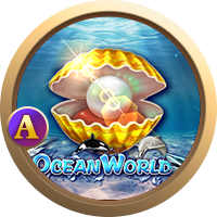 World Tour, Slots