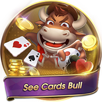 See Card Bull, Card Games