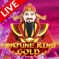 Fortune King Gold, Winslot